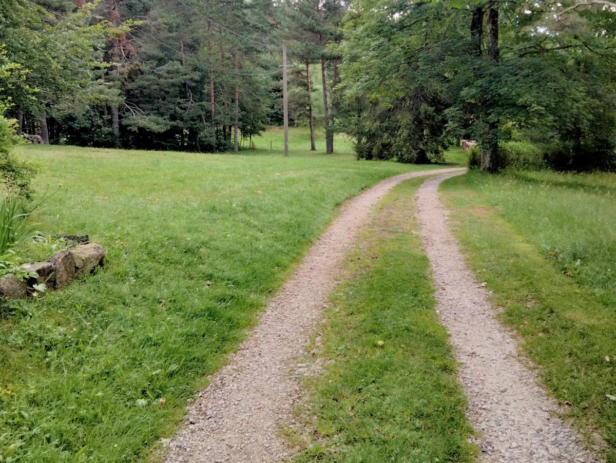 Ein Weg durch Wiese und Wald